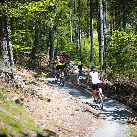 Wellness Polskie Wrota